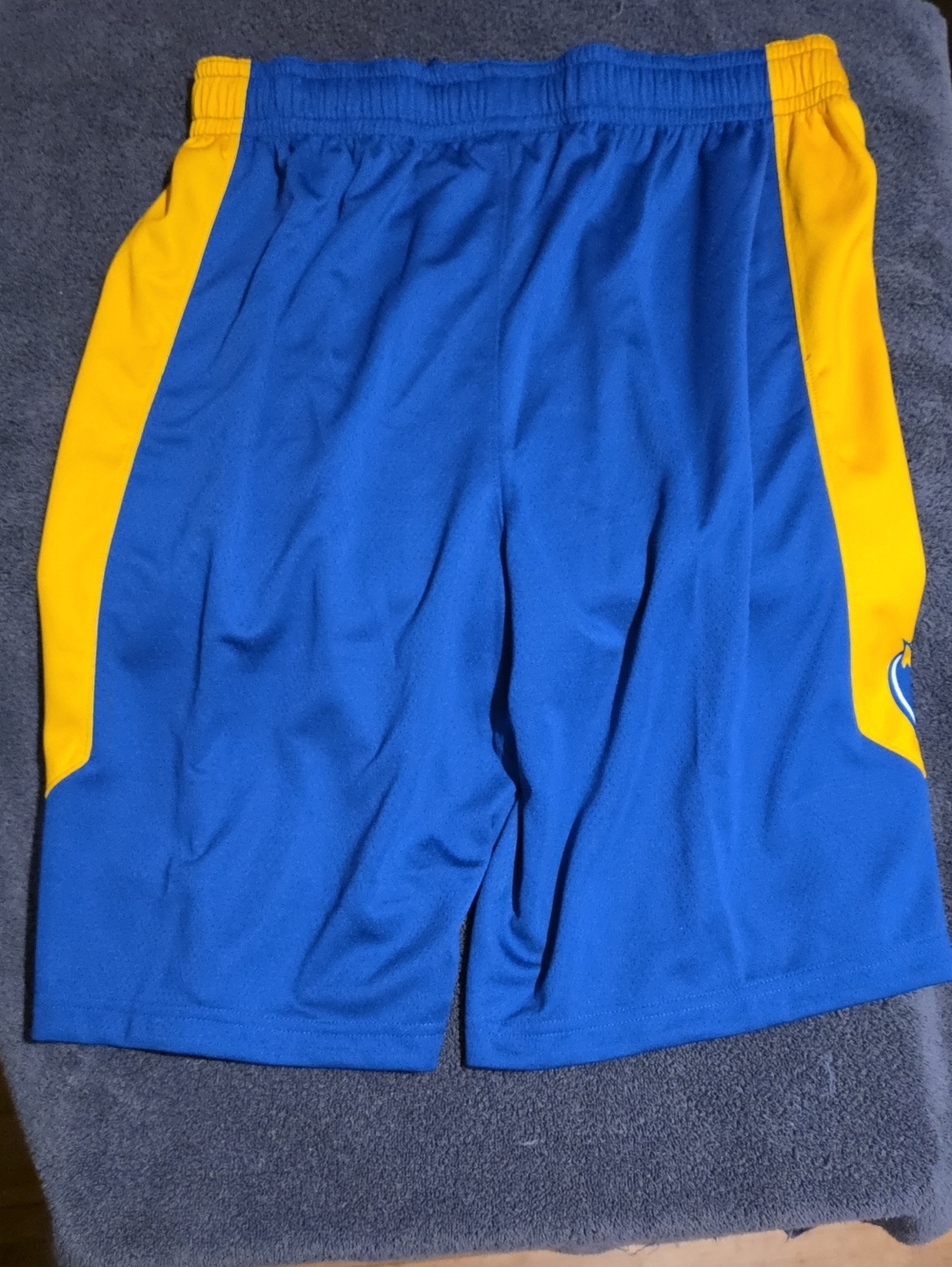 Nike Blue and Yellow Athletic Shorts